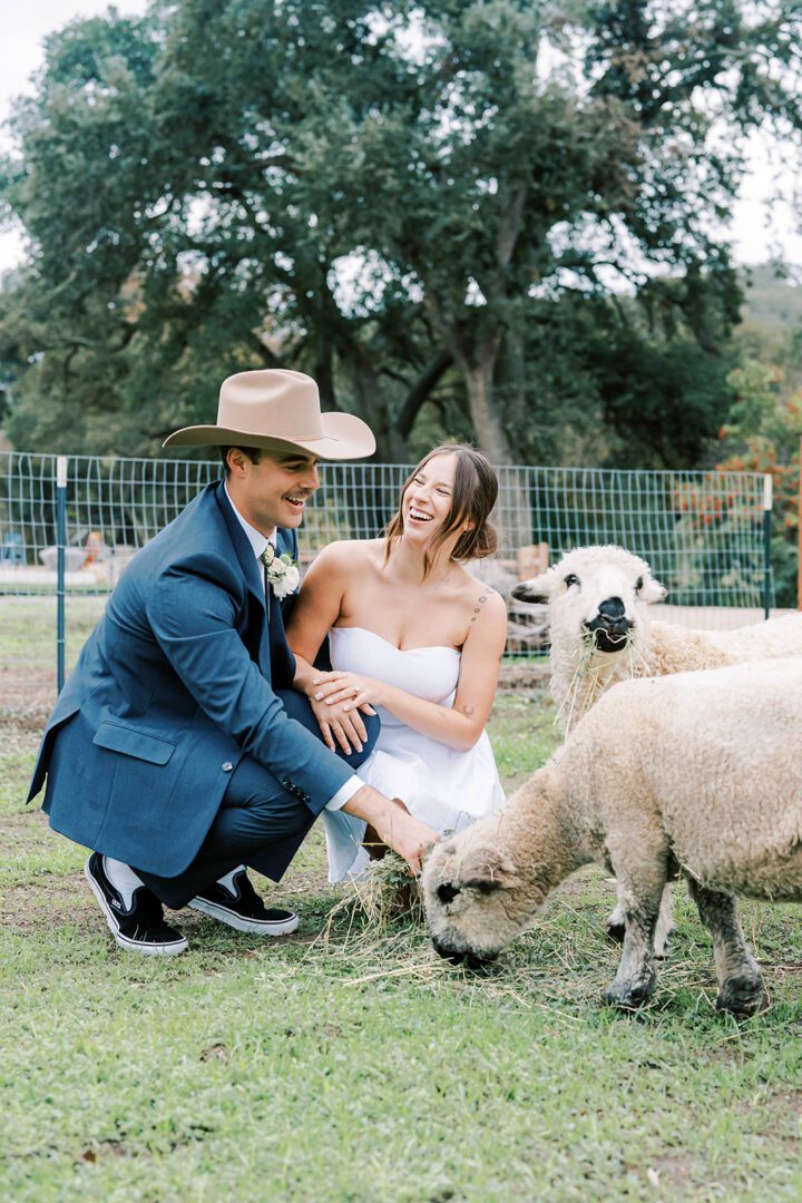 A couple in formal attire enjoys a moment with sheep outdoors.