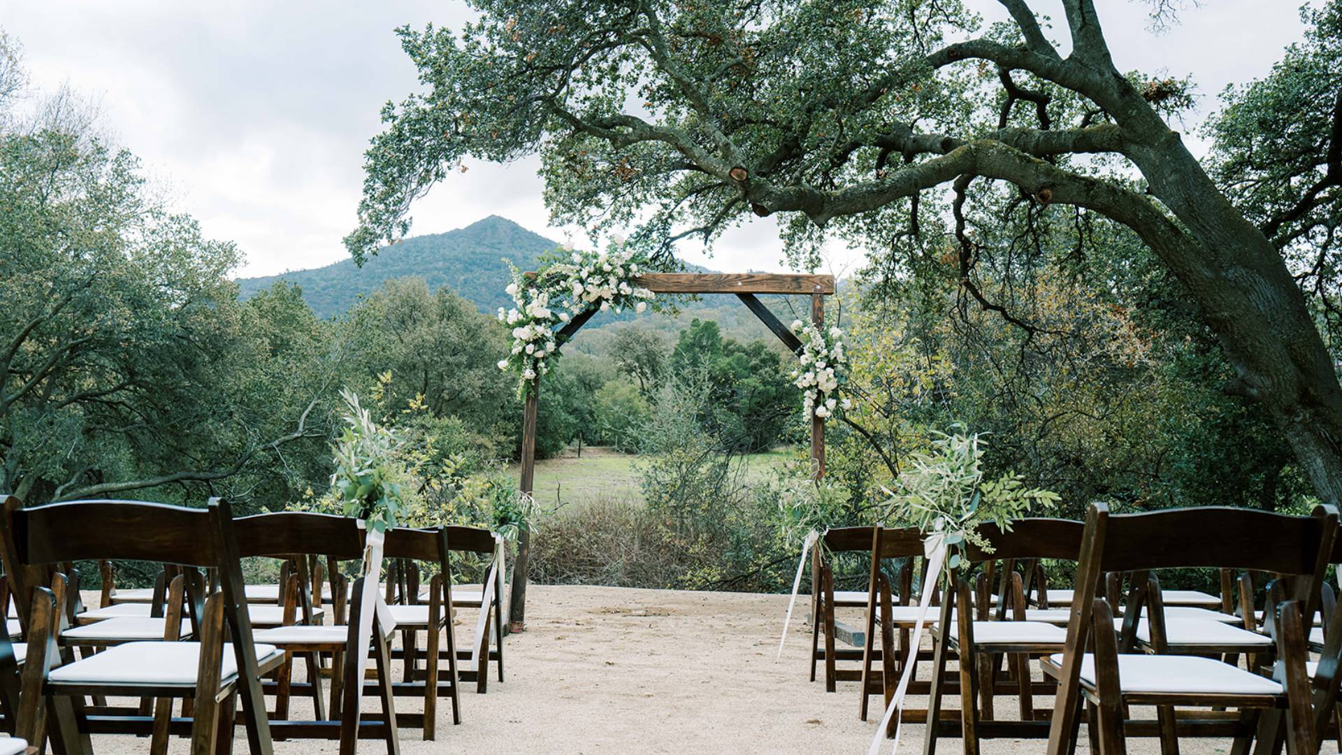 Outdoor wedding setup with wooden chairs and floral arch under a large tree.