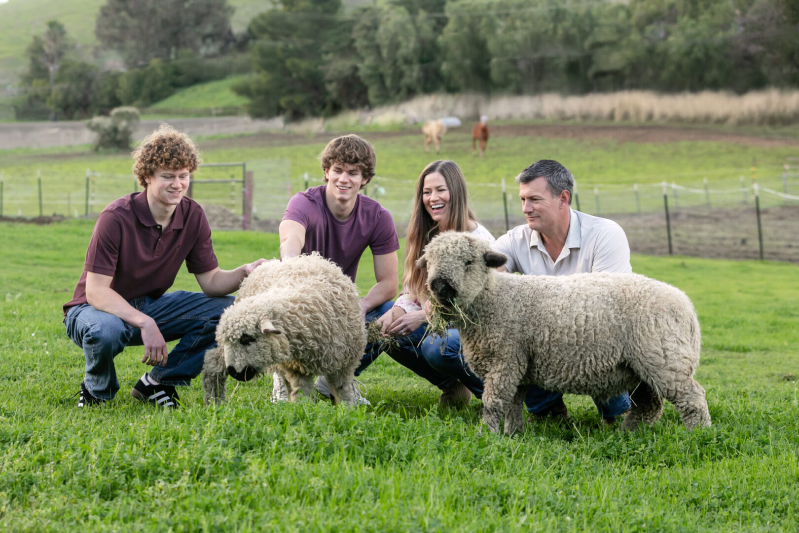 A family enjoying time with two sheep in a green field.