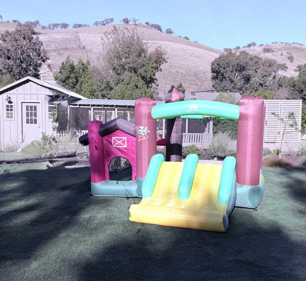 A colorful inflatable bouncy castle with slides in a backyard.