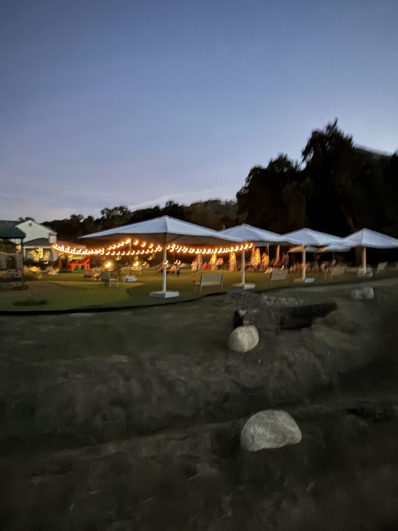 Outdoor event setup with white tents and string lights at dusk.
