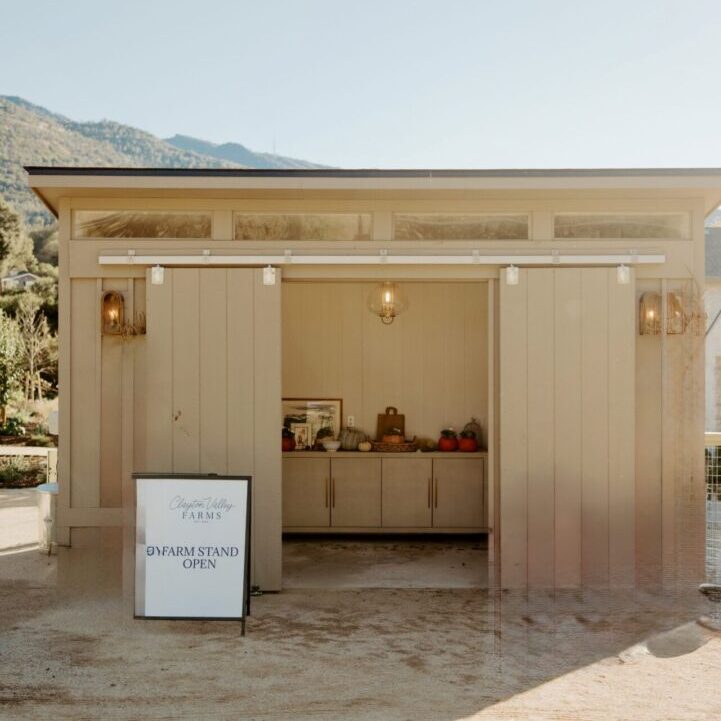 Minimalist wooden coffee shop kiosk in a sunny outdoor setting.